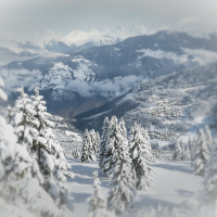 raquette a neige guidée a meribel les cotilles